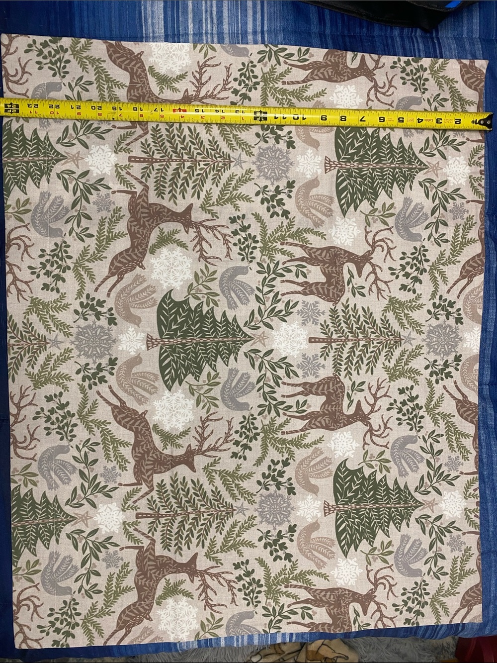 Pottery Barn pillow shams (2) standard size Christmas pattern